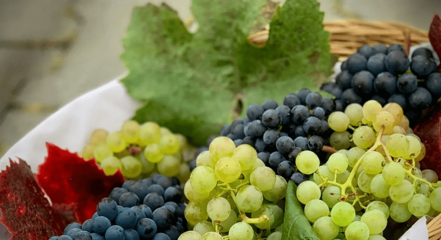 Fuel for the Long Run: How Smart Fruit Choices Can Boost Stamina